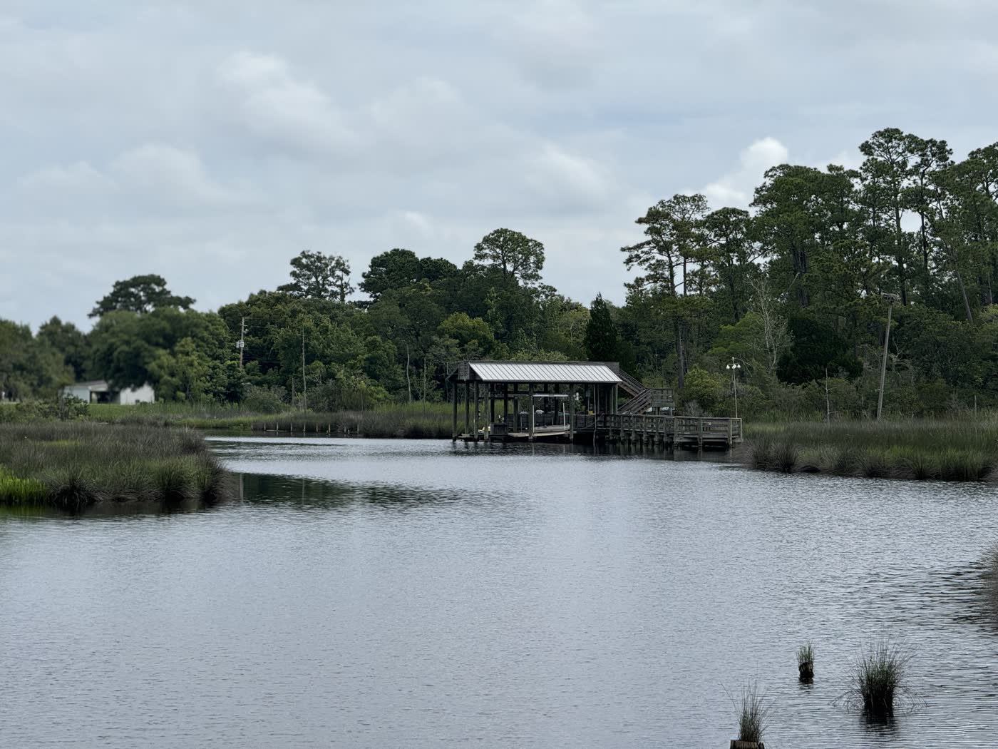 The Audubon Center's covered dock on the bayou at Moss Point, surrounded by marsh grass and tall pines.