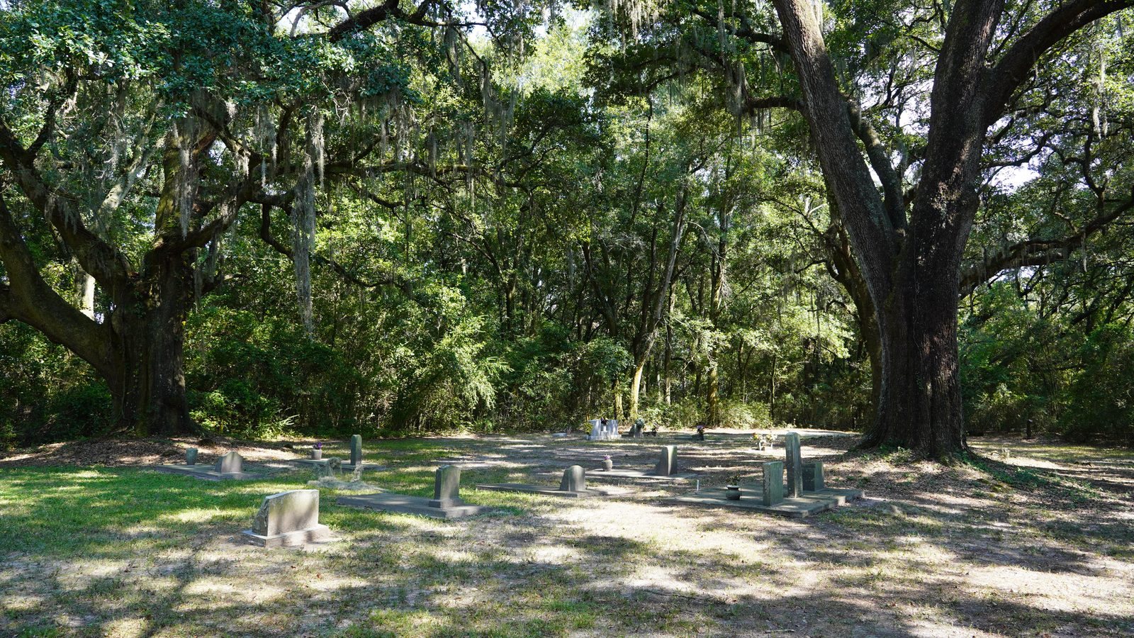 Weathered headstones rest in dappled light beneath moss-draped live oaks at Elder Cemetery.