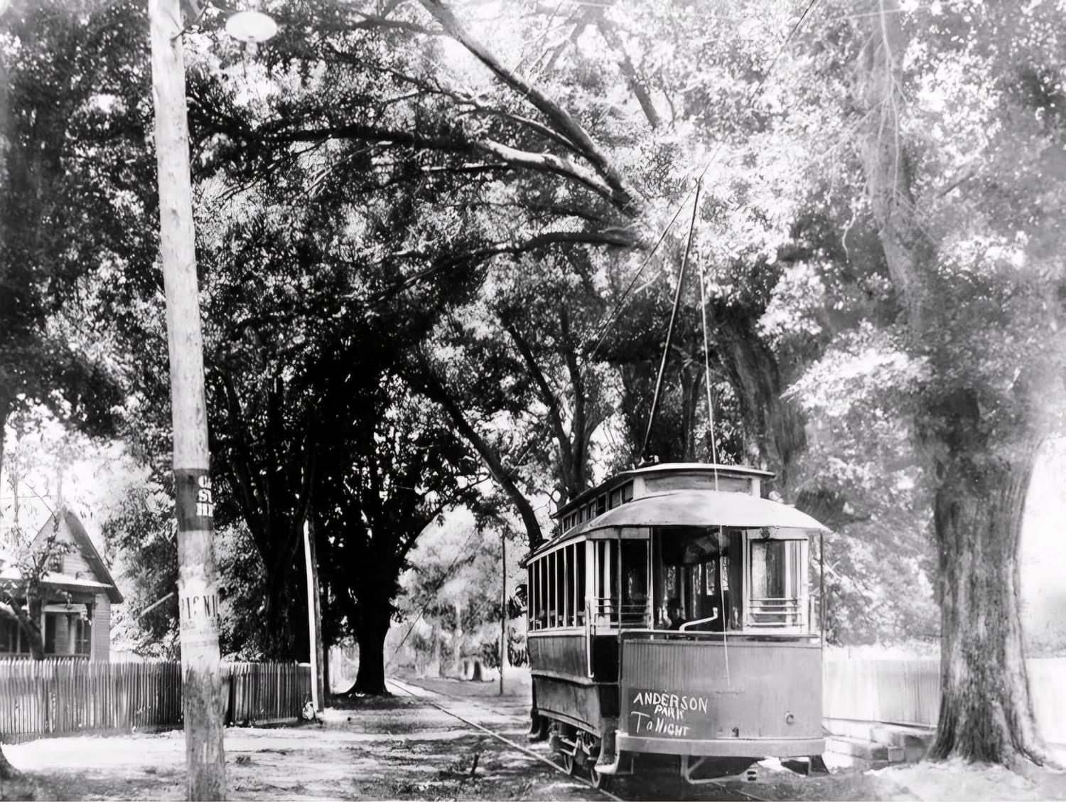 An electric streetcar travels beneath a tall canopy of live oaks in early Moss Point.