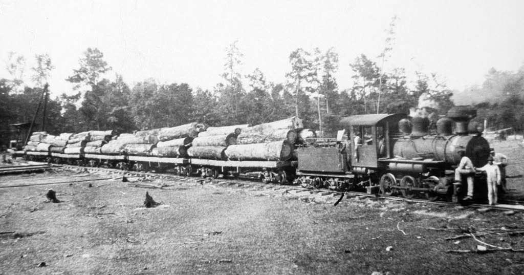 A steam locomotive pulls a string of flatcars stacked high with longleaf pine logs.