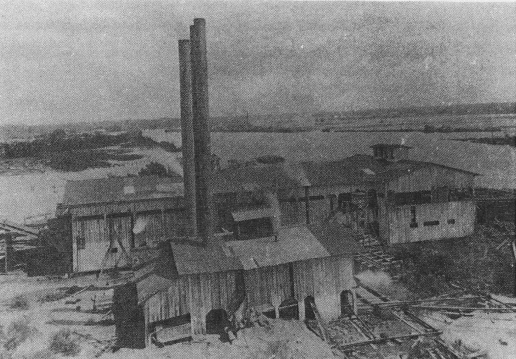 The wooden buildings and twin smokestacks of Dantzler&rsquo;s sawmill beside the river at Moss Point.