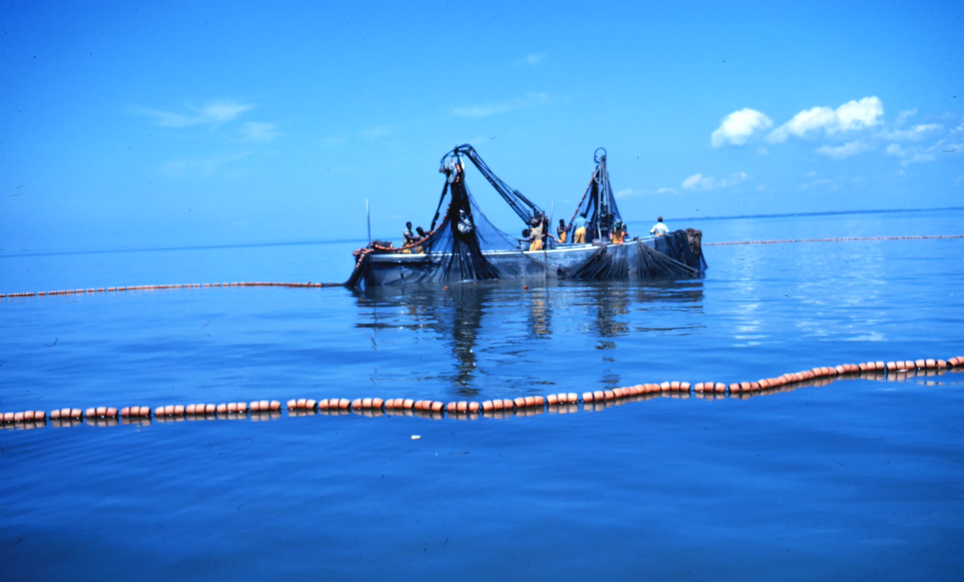 Crews on two menhaden purse boats haul in a seine on calm blue water, the cork float line curving across the foreground.