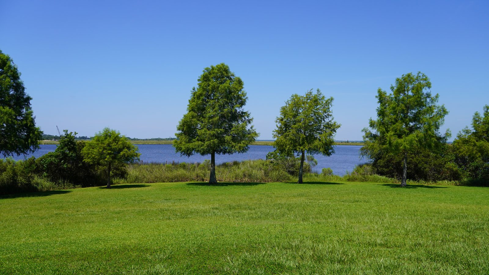 The riverfront lawn at Pelican Landing, framed by trees with the wide Escatawpa River beyond